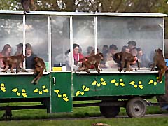 Knuthenborg Safaripark.